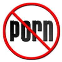 Big Porn Inc: a review