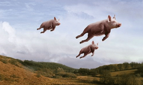 Pigs can fly
