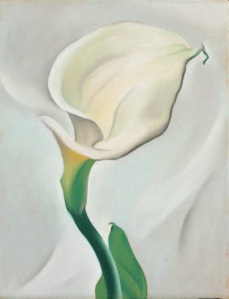 Lily. Georgia O'Keeffe