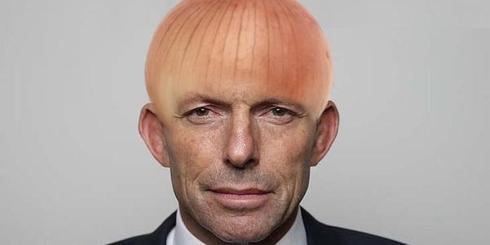 Abbott Onion Meme